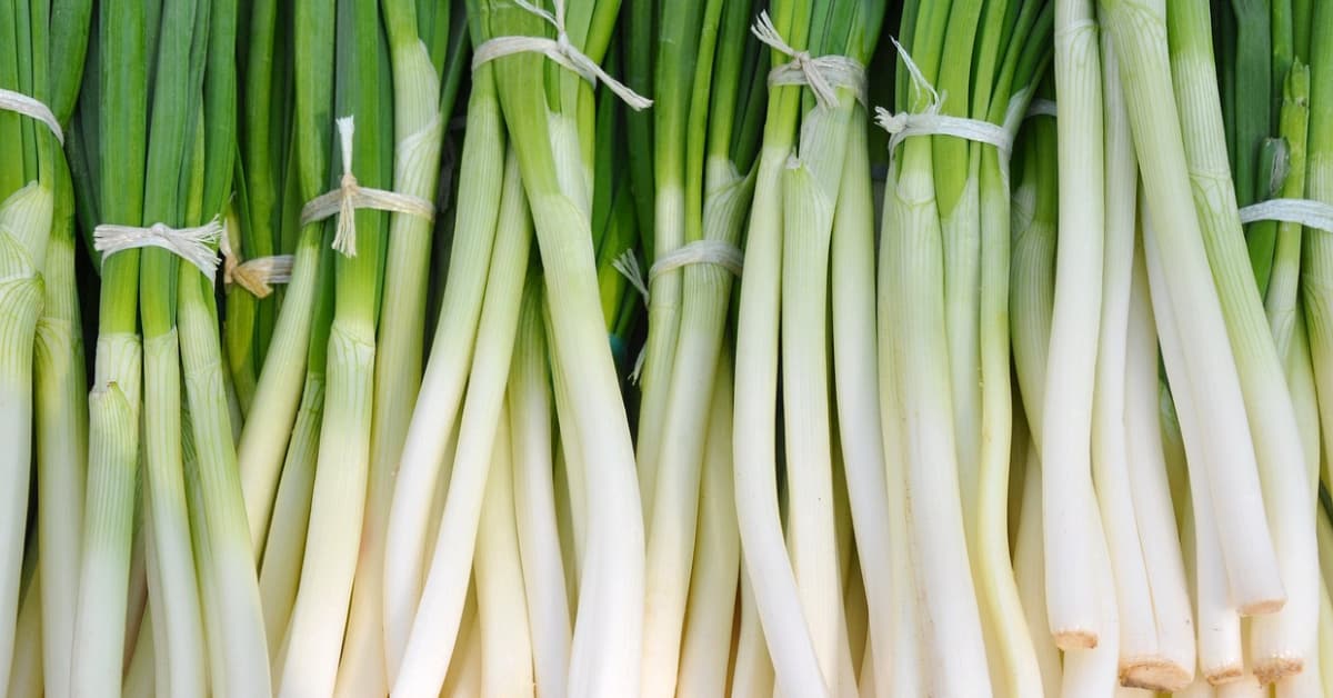 Green Onion:10 powerful Benefits and Nutrition - Relite Health