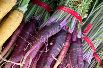 Purple Carrot:Nutrition, 11 Powerful Benefits